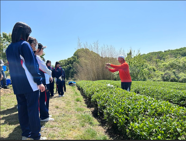 茶畑で学ぶ！抹茶で広がる地域連携